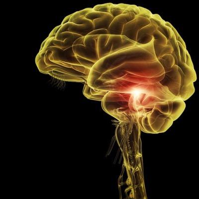 anthropology; bacteria, viruses, biotech; #CrowdSourcing #OpenAccess, #OpenScience; #blockchain, #AI; #USArmy #airborne #porsche