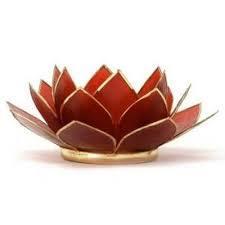 doraima1408's profile picture. Estadístico de profesión y en los actuales momentos facilitadora de Feng Shui. Me gusta hacer amistades, la naturaleza y el amor.