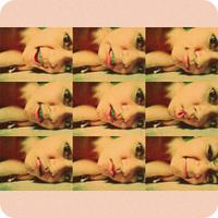 DEK (@deadevianaa) 's Twitter Profile
