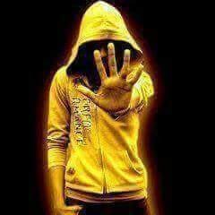 pir_reza's profile picture. ز گهواره تا گور حسش نبود...✘