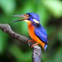 Becky Grace  - @BeckyGrace2015 - Twitter