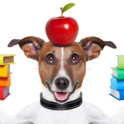 trumptonteacher's profile picture. Representing (unofficially) all teachers in the rapidly disappearing Trumpton Local Authority