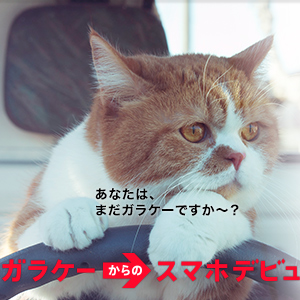 ワイモバイルららぽーと富士見店
4/7プレオープン営業時間9:30〜21:00
4/10グランドオープン営業時間9:30〜21:00
鶴瀬駅東口からバス5分ららぽーと3Fにオープン
ご来店お待ちしております。
【住所】354-0022
埼玉県富士見市山室1丁目1259-1 3F
【TEL】049-275-1307