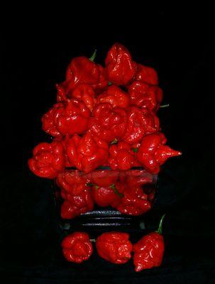 CABlazingChileF's profile picture. http://t.co/sJiIE0SUVt