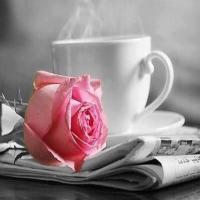 احلا من الحلا (@zenah79) Twitter profile photo