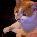 Nick Bastin - @nbastin_opnk - Twitter