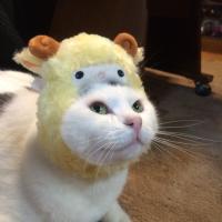 onihei0429 (@shimonnes) Twitter profile photo