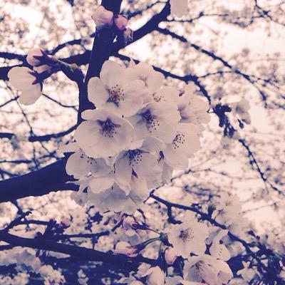 豆腐［  'ω'  ］さんのプロフィール画像
