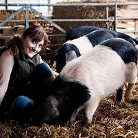 Farmer_Lou (@posh_pork) 's Twitter Profile