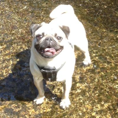 gruneberger's profile picture. 