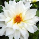 michelle mattson - @mmmattson2001 - Twitter