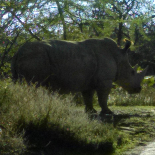 quinny2_0's profile picture. 