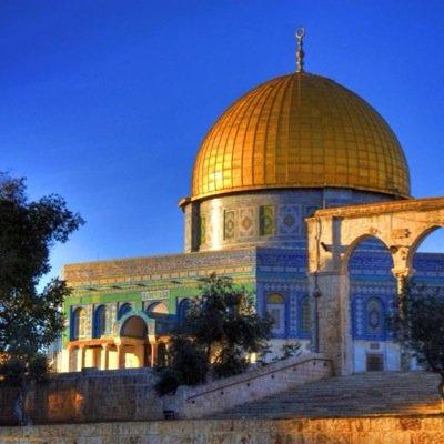 phhhzz's profile picture. 