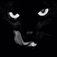فحل جنتل (@fhedalii) Twitter profile photo