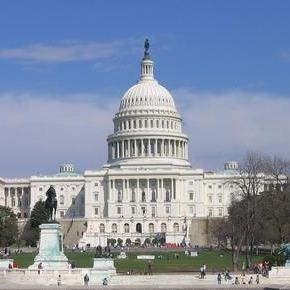 dcitconsultant's profile picture. It's a big city out there and you need someone that is on your side.