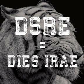 DSRE_SportsWear's profile picture. Designed for professional athletes. DSRE are made to fit comfortably over muscular body, during long hours of Cross, MMA and Muay Thai training.