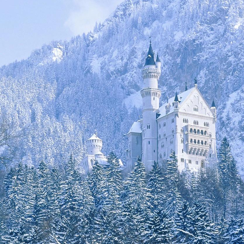 Mr_Igor_showman's profile picture. 