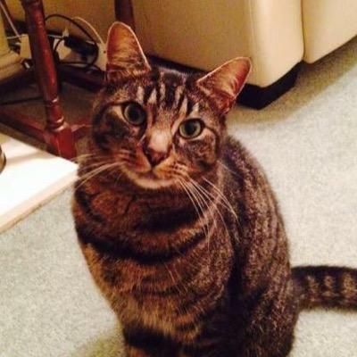 Captain_Morgans's profile picture. Hi im Tom subscribe to me on Youtube my name is Thomas Morgans dailey vlogs.
And pranks.