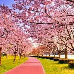 b4a8b7dcec4240b's profile picture. 