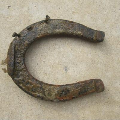 Siegel_Karla's profile picture. Karla S