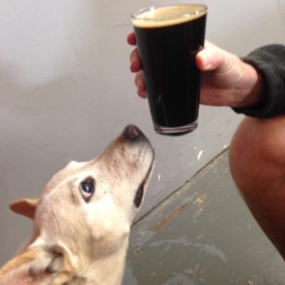 smilingdogsd's profile picture. Dogs, cats, knitting, crochet