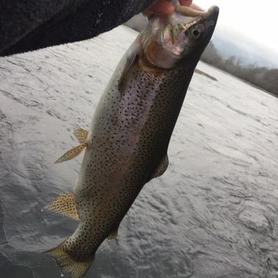 CcbcKevin's profile picture. 