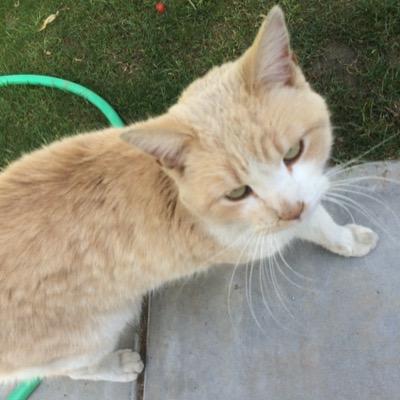 sighalyx's profile picture. thanks