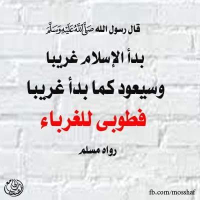 mahaeliwa's profile picture. ‏و لله التقوى