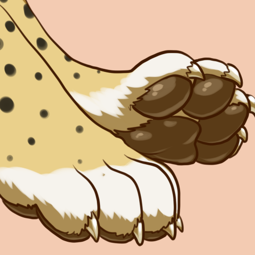 FurryArtAccount's profile picture. Furry art with links to the original and credit to artist and characters! Contact for any art removal! | Avatar: http://t.co/WT1wWaK7r7