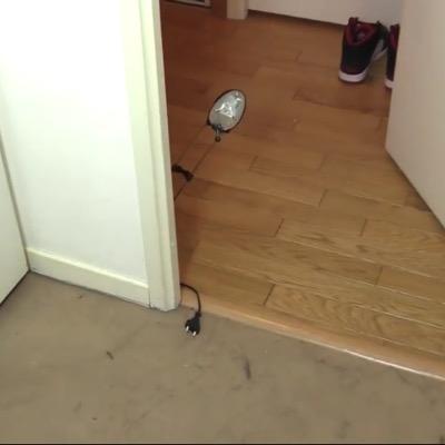 La__Lampe's profile picture. Je suis la terrible Lampe qui torture Squeezie sans relâche .
Signé, Lampe.