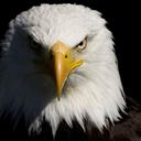 صقر الصحراء (@1976Khamees) Twitter