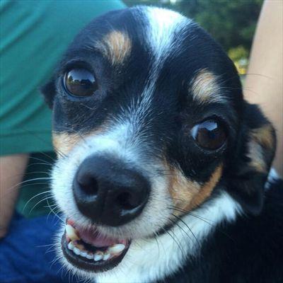 marcelomolinauy's profile picture. 