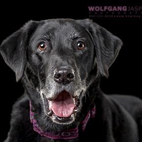 kimharlowe's profile picture. 