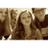 Profile Picture of Alex (@@alexandra_heft) on Twitter