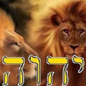 Therabbi3's profile picture. 