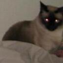 Simon Lee - @ghostofsimon - Twitter