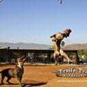 Calvin Barker - @twistedDogman - Twitter