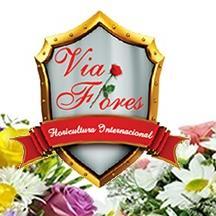 Floricultura Via Flores Governador Valadares, whatsapp 33 9193-5388 telefone fixo 33 32753837 .