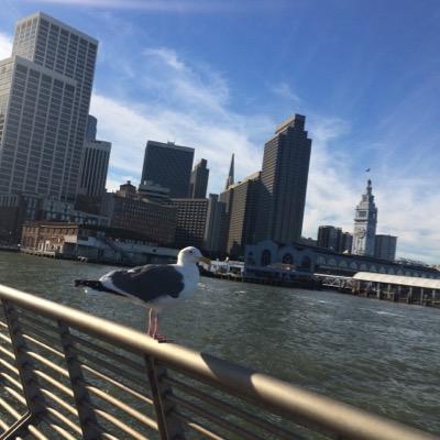 natsu_t720's profile picture. CRTS 48th / tennis / Rikkyo Univ＊Law /satie /中村ゼミ