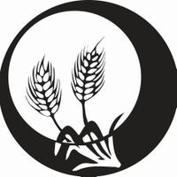 USD 489 (@usd489) 's Twitter Profile