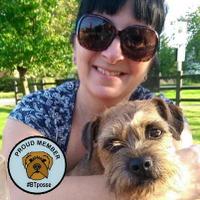 Lulu (@borderterrierlu) 's Twitter Profile