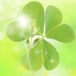 way2beauty's profile picture. Beauty and Heath products