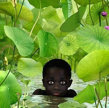 rustikitsur's profile picture. 