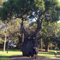 Terry Pepper (@twosteppep) 's Twitter Profile