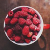 FreshandFit2015's profile image