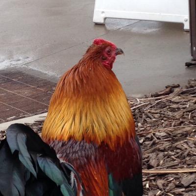 spillway_28's profile picture. swag on