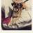 fraustosarah55's profile image