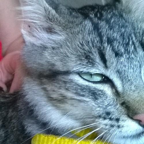 Gaby_Peruzzo's profile picture. 