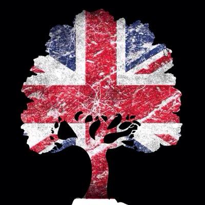 TheGrowingTrees's profile picture. Dalle radici '60 di Beatles & Rolling Stones al punk di Clash e Sex Pistols, dal brit pop '90 di Oasis, Blur e Verve ai germogli di Fratellis & Editors !!!