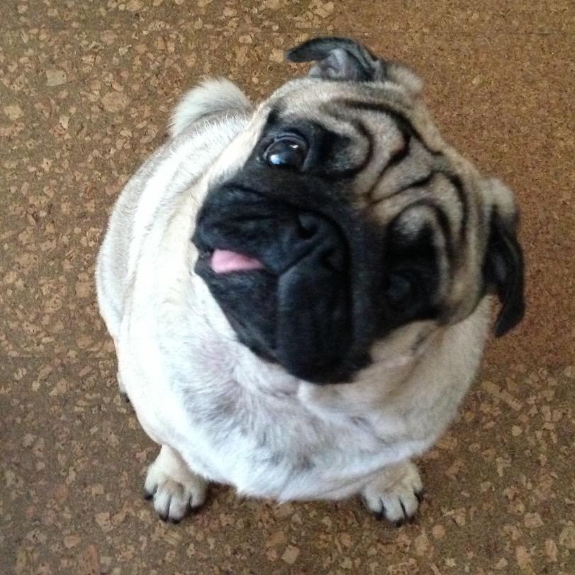 gehhah's profile picture. お掃除、洗濯、料理が得意。音楽大好き。一人旅が好き。